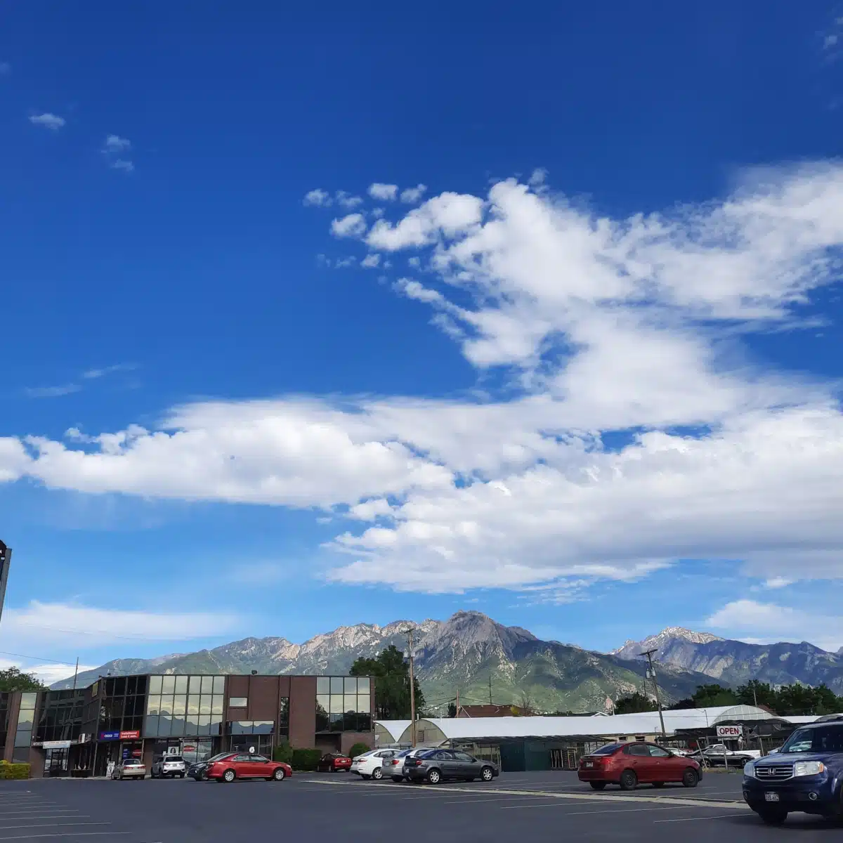 Alpha Counseling and Treatment Inc - Preview